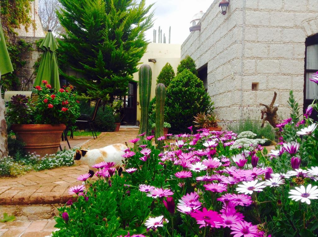 Hotel Secreto Pozos  Екстериор снимка